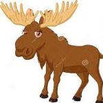 My Moose